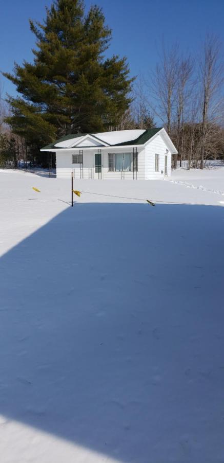 Chapel Hill Motel Brevort Bagian luar foto