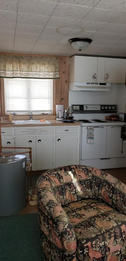 Chapel Hill Motel Brevort Bagian luar foto